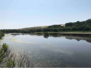 Réserve de la Maillouèyre : dunes, forêts et vues sur la mer - Decathlon - 3