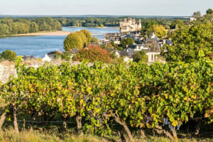 De Saumur à Fontevraud-l'Abbaye par La Loire à Vélo en 2 jours - Saumur - 5