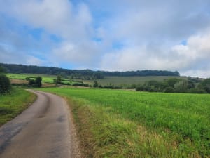 Randonnée à Bligny-le-Sec et vallée de Turcey - Bligny-le-Sec - 3