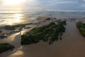 Les Sables-d'Olonne et micro-aventure sur la côte sauvage - Les Sables-d'Olonne - 3