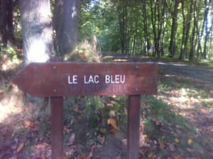 Mégalithes et lacs sur la petite boucle en forêt de Carnelle - Presles - 4
