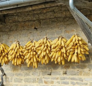 Pittoreske tocht door de vallei van Baume-les-Messieurs - Hauteroche - 4