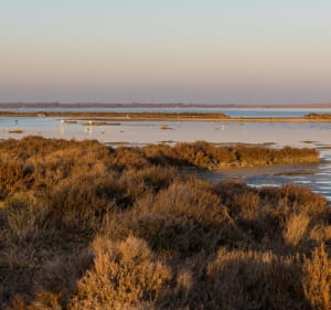 Mauguio en een verrijkende reis naar de rand van de Etang de l'Or - Mauguio - 4