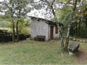 Sentier et secrets du Ferlioz, entre lapiaz et sous-bois - Artemare - 5