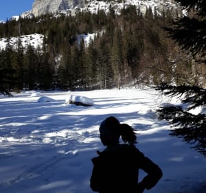 Boucle de Barmus via le lac Vert - Passy-Plaine-Joux - 3