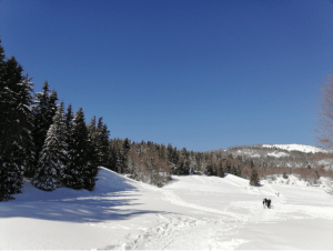 Chalets de Crolles et virée insolite au village tipi - Montcel - 4