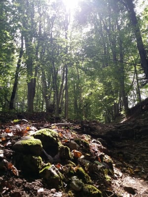 Envolée vers le Salève et ses panoramas sublimes - Pas de l'Echelle, Etrembières - 3