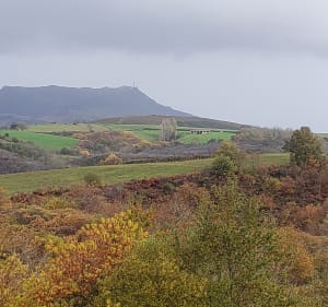Petite marche a Amotz - Saint-Pée-sur-Nivelle - 4