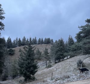 Gemakkelijk te voet bereikbaar vanaf La Conversaria naar Villard-de-Lans - Villard de Lans - 4