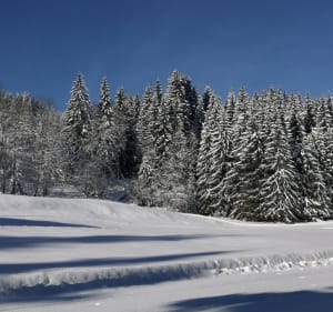 Sneeuwschoenwandeling van Croix-d'Agy naar chalet Les Sommards - Saint-Sigismond, Cluses - 4