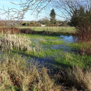 Sentier des moissonneurs - Saint-Pierre-du-Val - 3