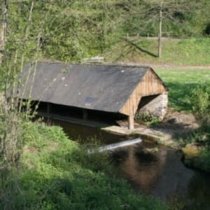 Balade enjouée en Anjou patrimonial et forestier - Mouliherne - 3