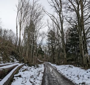 De Vaugneray à Saint-Bonnet-le-Froid par Cunieux - Vaugneray - 3