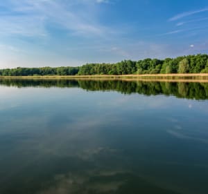 Tour du lac de Madine depuis Nonsard-Lamarche - Nonsard-Lamarche - 3