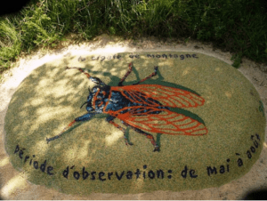 Pelouse calcaire de Génicourt et sentier pédagogique - Génicourt-sur-Meuse - 3