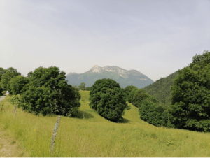 Escapade au col de Chérel et nature rafraichissante - Précherel, Jarsy - 3