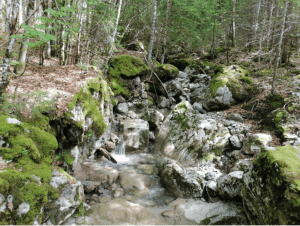 Escapade au col de Chérel et nature rafraichissante - Précherel, Jarsy - 4