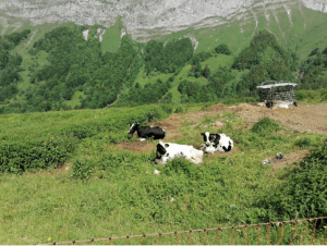 Escapade au col de Chérel et nature rafraichissante - Précherel, Jarsy - 5
