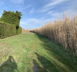 La petite boucle de la pointe - Saint-Denis-d'Oléron - 3