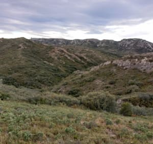 Le Jas du Pezou - Saint Rémy de Provence - 3