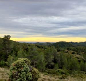 Le Jas du Pezou - Saint Rémy de Provence - 4