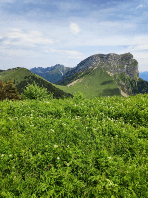 Bec Charvet et panoramas sur les sommets de la Chartreuse - Col du Coq, Plateau-des-Petites-Roches - 3