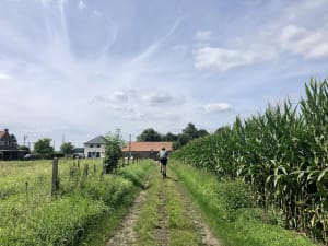 Gravel, sous-bois et un peu de pavés au départ de Lille - Le Petit Maroc, Lille - 3