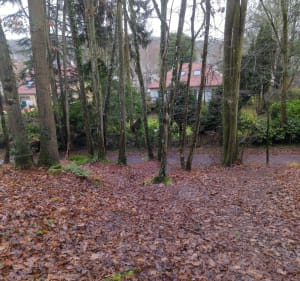 Balade dans la forêt d'Etrechy - Etréchy - 3
