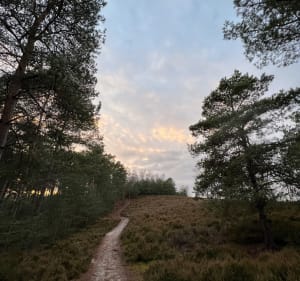 Randonnée en forêt de Rochefort - Rochefort-en-Yvelines - 3