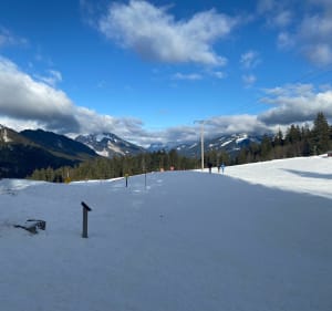 De korte sneeuwschoenwandeling vanaf de Col de Porte - Le Sappey-en-Chartreuse - 3