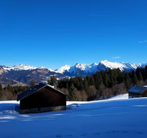 Sneeuwschoenwandelen van Les Esserts naar het Agy-plateau - Les Esserts - 4