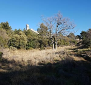 Crapahuter jusqu'au refuge du Petit Tuny - Auriol - 5