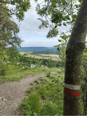 Mise en scène de la Seine depuis le GR® 2 et Les Andelys - Les Andelys - 3
