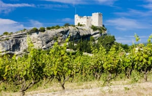 Vaison-la-Romaine et aventure sur des collines verdoyantes - Vaison-la-Romaine - 3