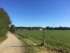 Wandel in het Gayeulles Park en het omliggende landschap - Les Gayeulles, Rennes - 3