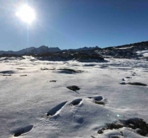 Sneeuwschoenwandeling vanaf de Col du Soulor - Aucun - 5