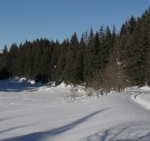 En direction du plateau de Loëx en raquettes - Verchaix - 4