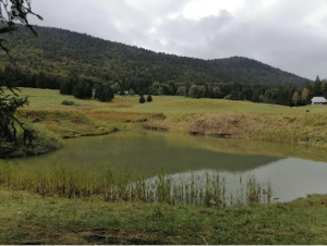Moment de détente aux alpages et au lac du Mariet - Montagny, Arith - 3
