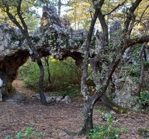 De Châteauneuf-du-Rhône, par Rac, au Navon - Malataverne - 4