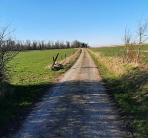 Randonnée sur le Mont de la Comté et ses environs - Beugin - 3