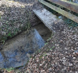 Randonnée sur le Mont de la Comté et ses environs - Beugin - 4