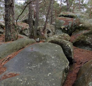 Le labyrinthe de roches à Fontainebleau - Fontainebleau - 5