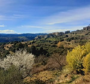 Entre la vallée de la Cèze et les Cévennes Gardoise à vélo - Saint-André-Capcèze - 4