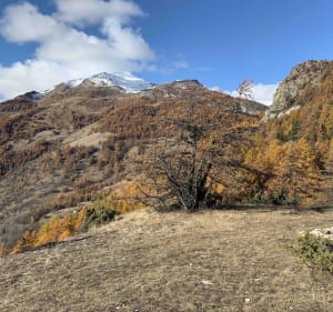 Cols et panoramas majestueux des Aujards - Freissinières - 5