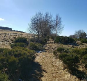 Tour de la Roche du Bachat - Freycenet-la-Cuche - 4