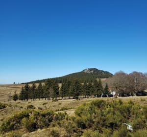 Tour de la Roche du Bachat - Freycenet-la-Cuche - 5