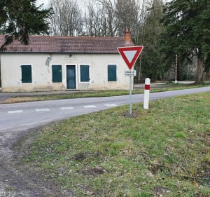 La forêt des Crochères - Auxonne - 5