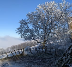 Col de Malval par St Bonnet le froid à Vaugneray - JC Eroht - 3