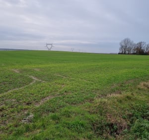 Autour de Sainte-Mildrède - Volckerinckhove - 4