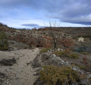 Randonnée entre Forcalquier et les Ybourgues. - Forcalquier - 4